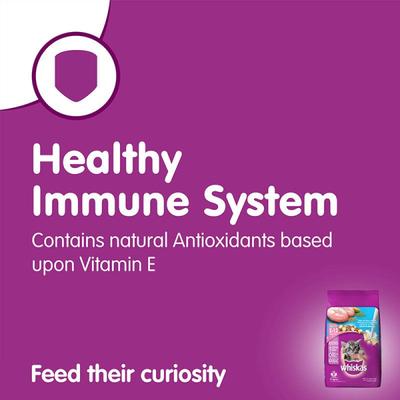 Whiskas Junior Ocean Fish Flavor with Milk 1100 gm - Petfood