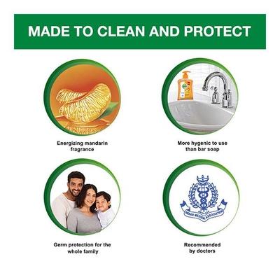 Dettol pH Balanced Handwash Refill - Re-Energize 750 ml - Hand Wash & Soaps