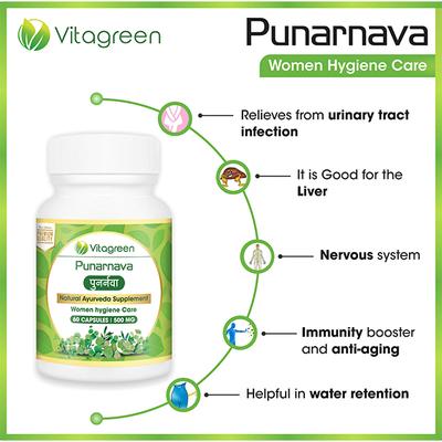VitaGreen Punarnava Capsules 60's - Herbal Dietary Supplement