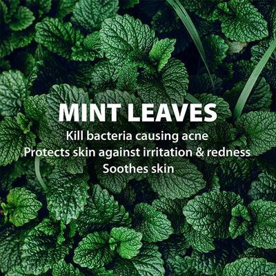 LetsShave Shave Foam - Coconut Oil & Menthol 200 gm - Shaving Creams