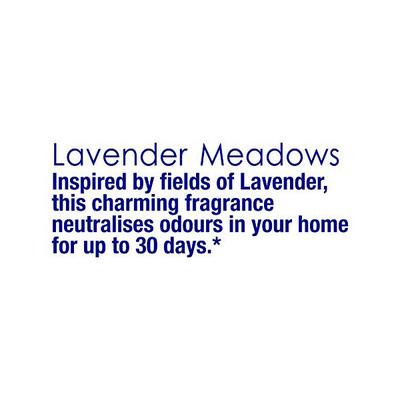 Odonil Air Freshener Lavender Meadows 50 gm - Air Fresheners