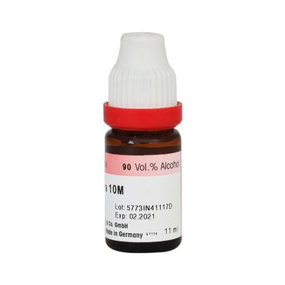 Dr. Reckeweg Sambucus Nigra 10M Liquid 11 ml - Dilutions