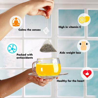 Tea Treasure Whole Leaf Green Tea Bag - Sencha 18's - Teas