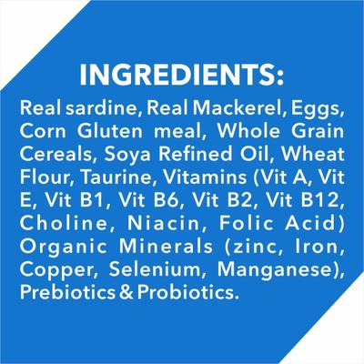 Drools Kitten(1-12 Months) Dry Cat Food, Ocean Fish with Free Container 1200 gm - Petfood