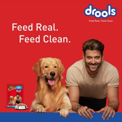 Drools Adult Wet Dog Food, Real Chicken and Chicken Liver Chunks in Gravy, 15 Pouches (15 x 150g) 2250 gm - Petfood
