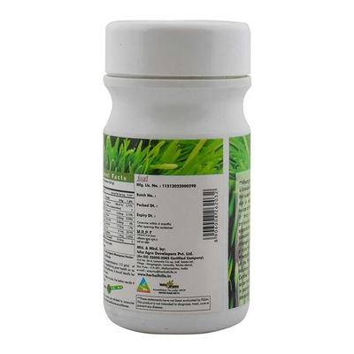 Herbal Hills Wheat-O-Power Powder 100 gm - Diabetes Care (Ayush)