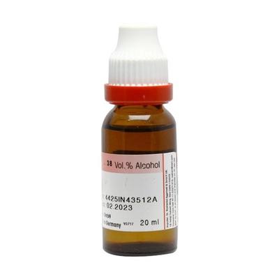 Dr. Reckeweg Lemna Minor Ø Liquid 20 ml - Mother Tincture