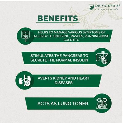 Dr. Vaidya's Allergic Pills (Pack of 3 x 24's) - Speciality Medicines