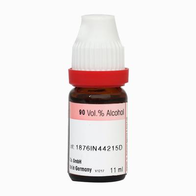 Dr. Reckeweg Asafoetida 6 Liquid 11 ml - Dilutions
