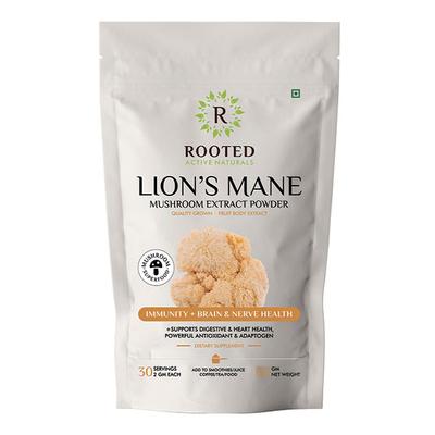 Rooted Active Naturals Lion's Mane Mushroom Extract Powder 60 gm - Pure Herbs