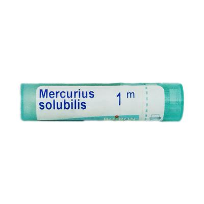 Boiron Mercurius Solubilis 1M Multi Dose PELLETS 4 GM - Triturations (Homeo Tablets)