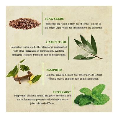 Bioayurveda Basics Joint Pain Relief Balm 120 gm - Balm/Ointments