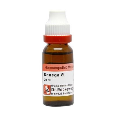 Dr. Reckeweg Senega Ø Liquid 20 ml - Mother Tincture