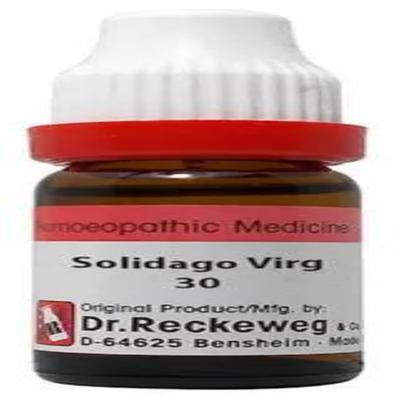 Dr. Reckeweg Solidago Virgaurea 30 Liquid 11 ml - Dilutions
