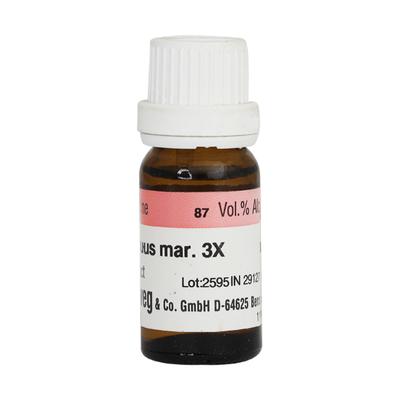 Dr. Reckeweg Carduus Marianus 3X Liquid 11 ml - Dilutions