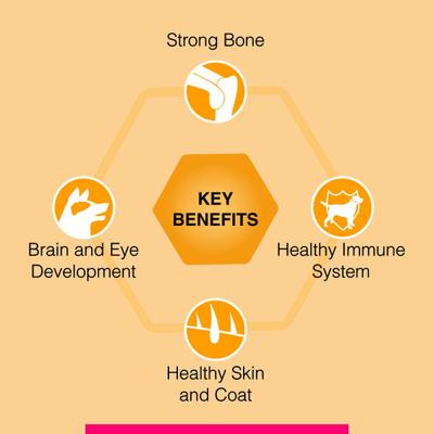 Canine Creek Puppy Dry Dog Food, Ultra Premium 1200 gm - Petfood