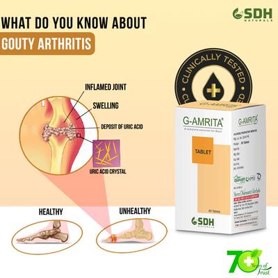 Shree Dhanwantri Herbals G-Amrita Tablet 60's - Speciality Medicines