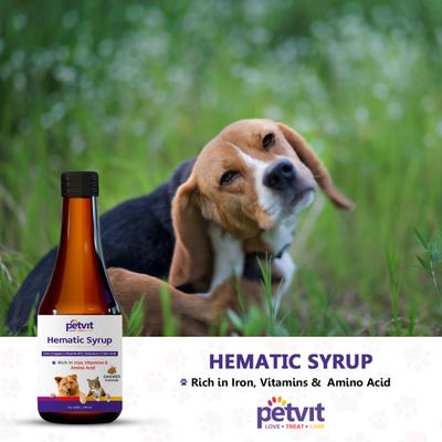 Petvit Hematic Syrup -For All Ages Breed Dogs & Cats 200 ml - Petfood