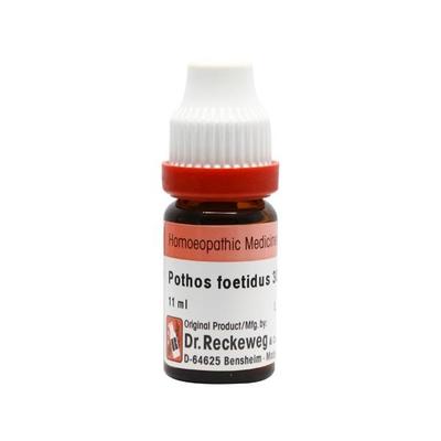 Dr. Reckeweg Pothos Foetidus 30 Liquid 11 ml - Dilutions
