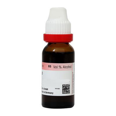 Dr. Reckeweg Bellis Per Ø Liquid 20 ml - Mother Tincture