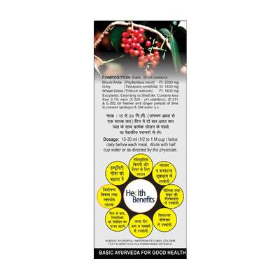 Basic Ayurveda Bhumi Amla & Giloy Mix Juice 450 ml - Ayurvedic Juices