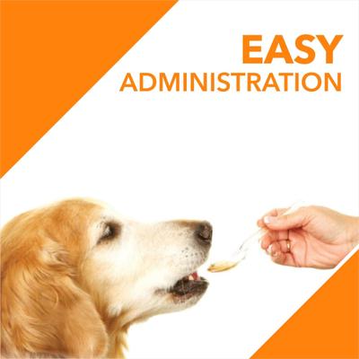 Drools Absolute Salmon Oil Syrup - Dog Supplement 150 ml - Petfood