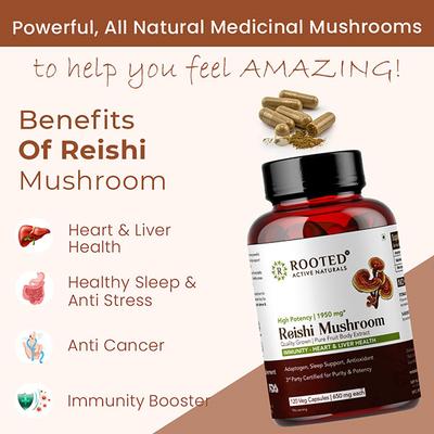 Rooted Active Naturals Reishi Mushroom Veg Capsule 120's - Pure Herbs