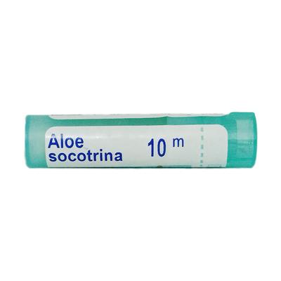 Boiron Aloe Socotrina 10M Multi Dose PELLETS 4 GM - Speciality Medicine