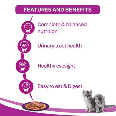 Whiskas Kitten Chicken in Gravy (Pack of 85gm x 48) 4080gm - Petfood
