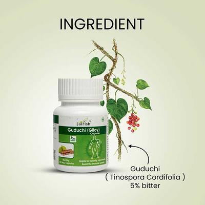 Jairishi Guduchi (Giloy) Veg Capsule 60's - Speciality Medicines