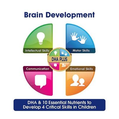 Enfagrow Nutritional Milk Powder A+ Stage 4 (2+ Years) - Vanilla Flavour 400 gm (Tin) - Baby And Infant Supplements