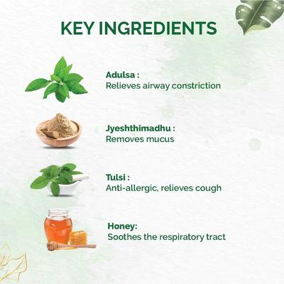 Dr. Vaidya's Tulsi- Ginger Cough Syrup (Pack of 3 x 100 ml) - Cough & Cold (Ayush)