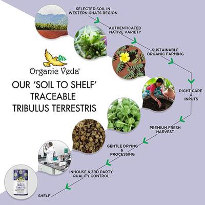 Organic Veda Tribulus Terrestris Fruit Powder 200 gm - Sexual Healthcare