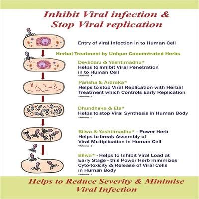 Bal Vedics Immuwin Ayurvedic Tablet (4 X 25's) - Health Products