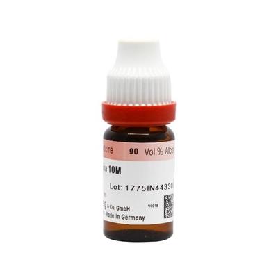 Dr. Reckeweg Arnica Montana 10M Liquid 11 ml - Dilutions
