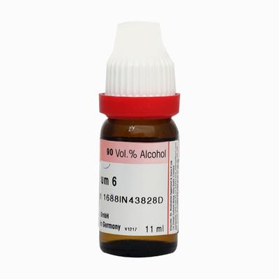 Dr. Reckeweg Argentum Metallicum 6 Liquid 11 ml - Dilutions