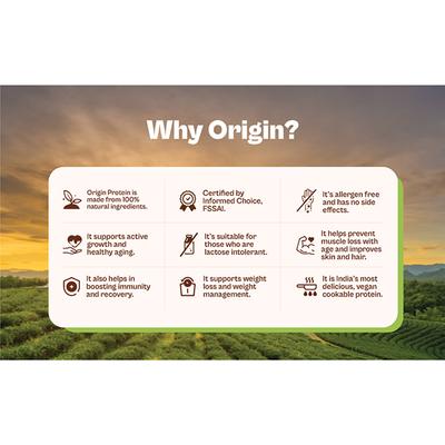 Origin Nutrition Vegan Protein Powder - Unflavoured 1 kg - Whey Proteins