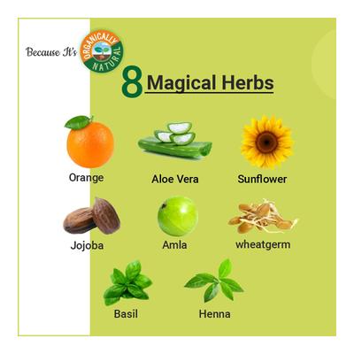 Indus Valley Organically Natural Gel Hair Colour Powder - Black 220 gm - Personal Care (Ayush)