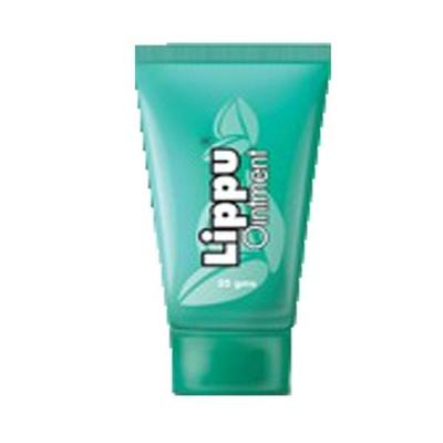 Dr. JRK Lippu Ointment 35 gm - Dr. Jrk