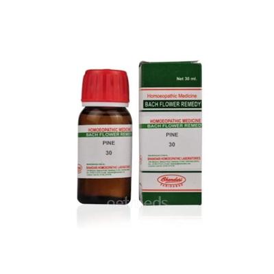 Bhandari Bach Flower Pine 30 Liquid 30 ml - Dilutions