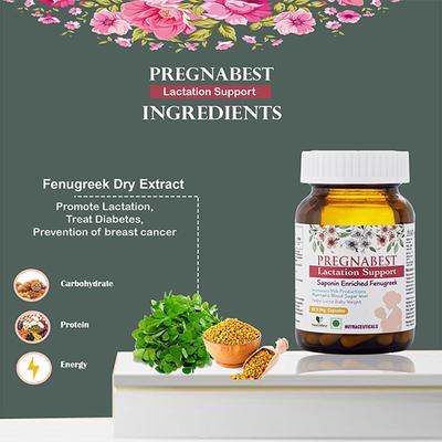 HealthBest Pregnabest Lactation Support Veg Capsule 60's - Multi-Vitamins