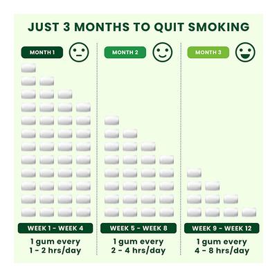 Nixit Nicotine 2 mg Sugar Free Gum - Frost Mint Flavour 6's - Nicotine Gums/Lozenges