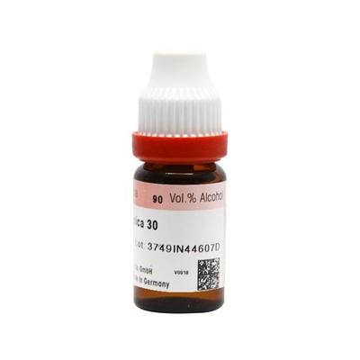 Dr. Reckeweg Hamamelis Virginica 30 Liquid 11 ml - Dilutions