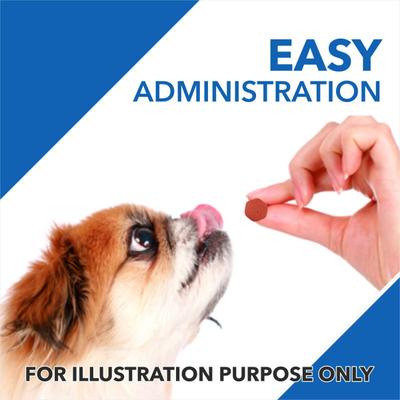 Drools Absolute Vitamin Tablet- Dog Supplement 50's - Petfood