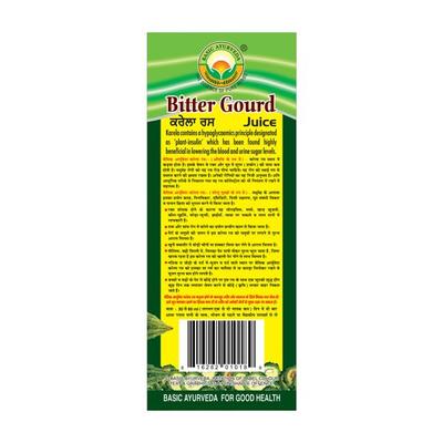 Basic Ayurveda Bitter Gourd (Karela) Juice 500 ml - Ayurvedic Juices