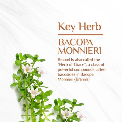 Maharishi Ayurveda Organic Brahmi Tablet 60's - Pure Herbs