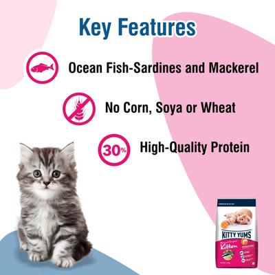 Kitty Yums Kitten(1-12 Months) Dry Cat Food, Ocean Fish 1200 gm - Petfood