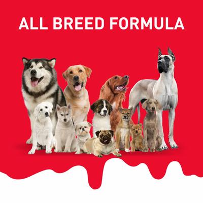 Drools Absolute Milk Bone Jar, Dog Treats - NEW 40's - Petfood