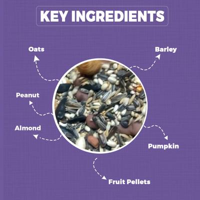 Petvit Parrot Food for Big Parrot 1000 gm - Petfood