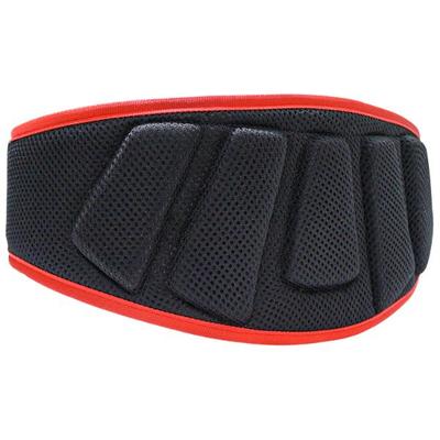 MuscleXP Gym Nylon Padded Weight Lifting Belt - Black (L) 1's - Gym Accessories